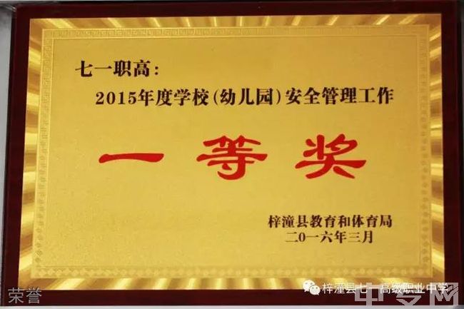 四川省梓潼县七一高级职业中学校-荣誉