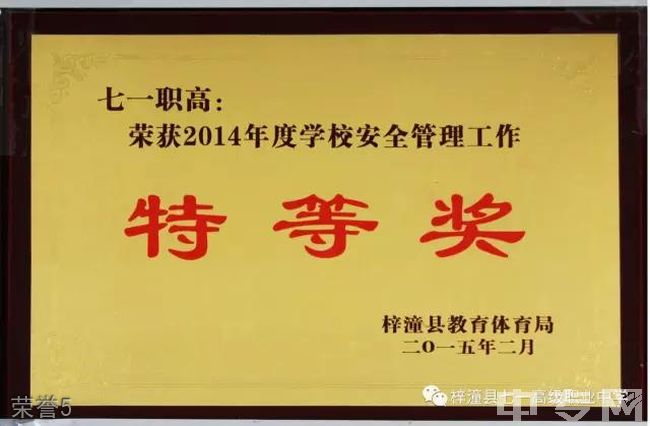 四川省梓潼县七一高级职业中学校-荣誉5