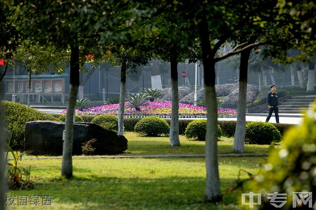 重庆三峡职业学院[专科]-校园绿茵