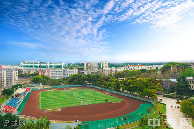 重庆三峡职业学院[专科]-足球场