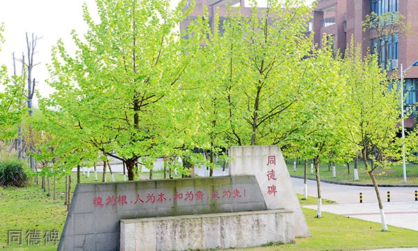 重庆机电职业技术大学[专科]-同德碑