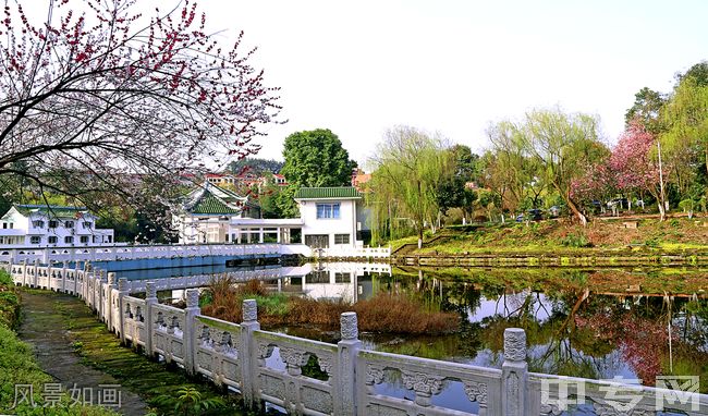 重庆信息技术职业学院[专科]-风景如画