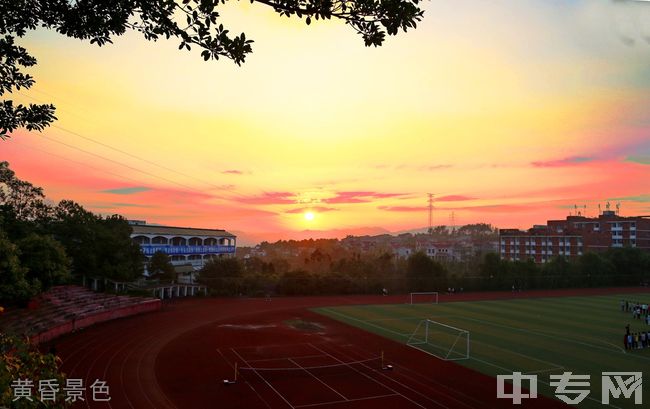 重庆信息技术职业学院[专科]-黄昏景色