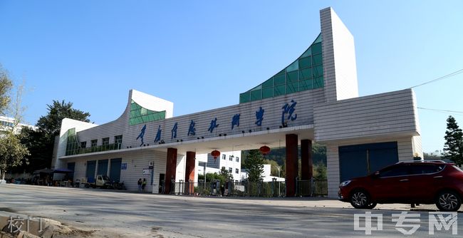 重庆信息技术职业学院[专科]-校门