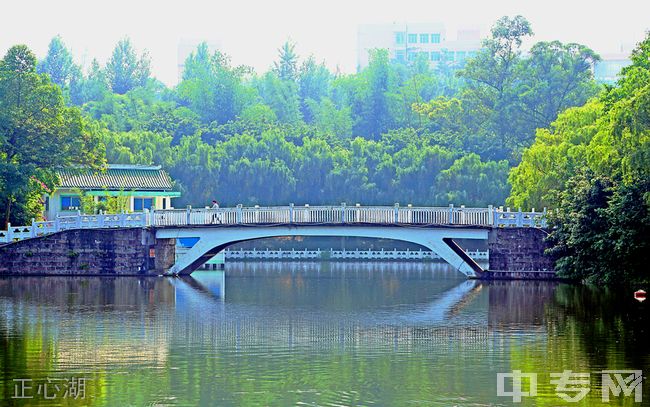 重庆信息技术职业学院[专科]-正心湖