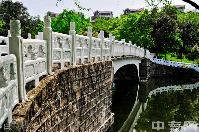 重庆信息技术职业学院[专科]-白玉雕栏