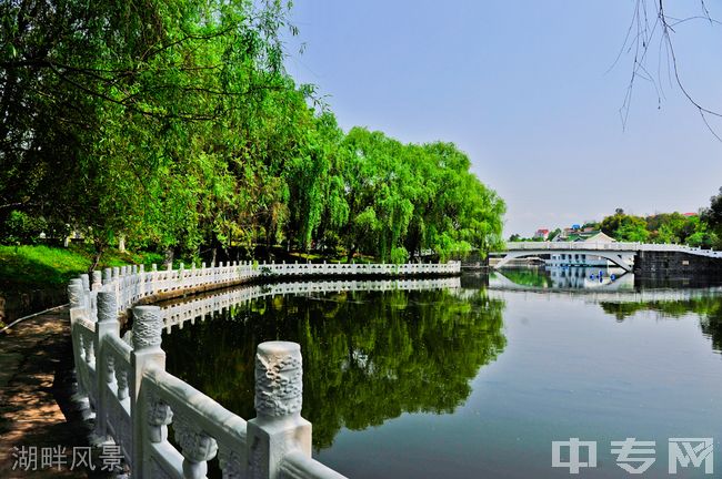 重庆信息技术职业学院[专科]-湖畔风景