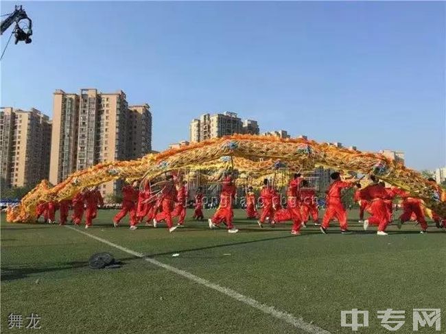 重庆传媒职业学院[专科]-舞龙