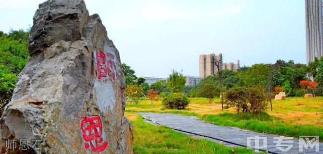 重庆传媒职业学院师恩石