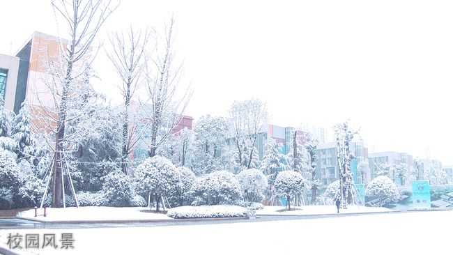 重庆房地产职业学院[专科]-校园风景