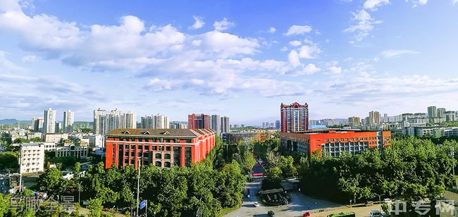 重庆房地产职业学院[专科]-鸟瞰全景