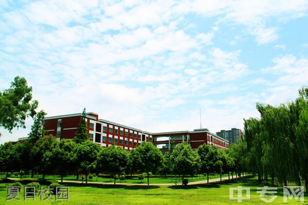 四川托普信息技术职业学院[专科]-夏日校园