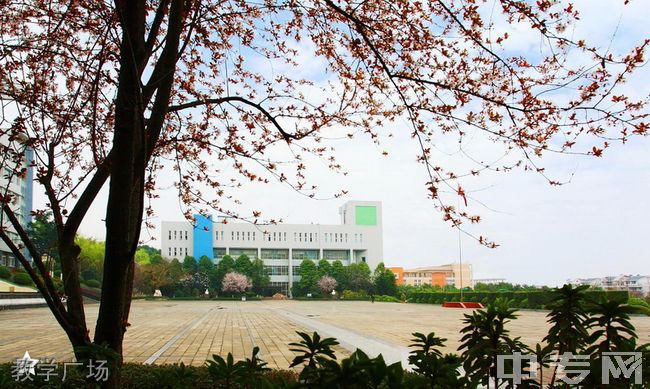 重庆三峡医药高等专科学校教学广场