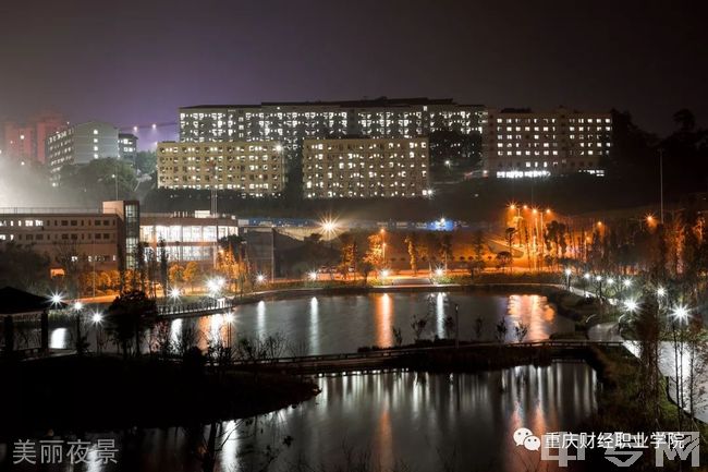 重庆财经职业学院[专科]-美丽夜景