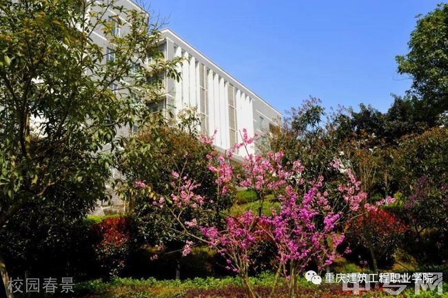 重庆建筑工程职业学院[专科]-校园春景