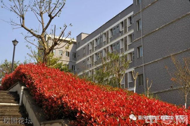 重庆建筑工程职业学院[专科]-校园花坛