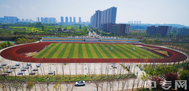 重庆电讯职业学院[专科]-运动场