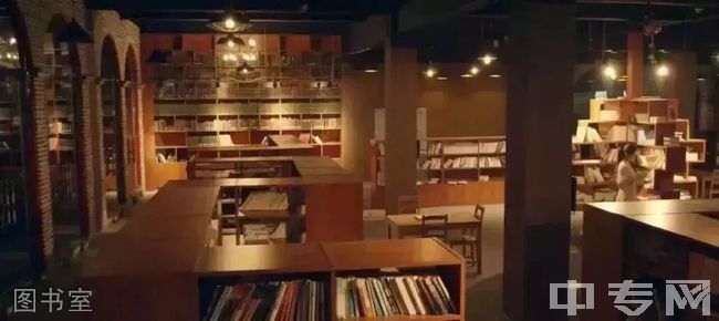 重庆文化艺术职业学院[专科]-图书室