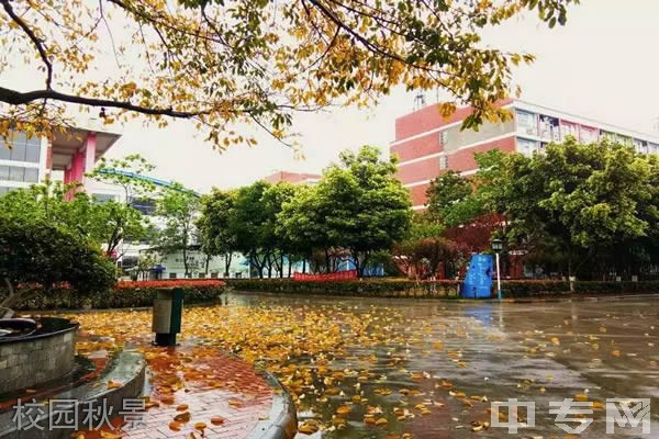 四川文化传媒职业学院[专科]-校园秋景