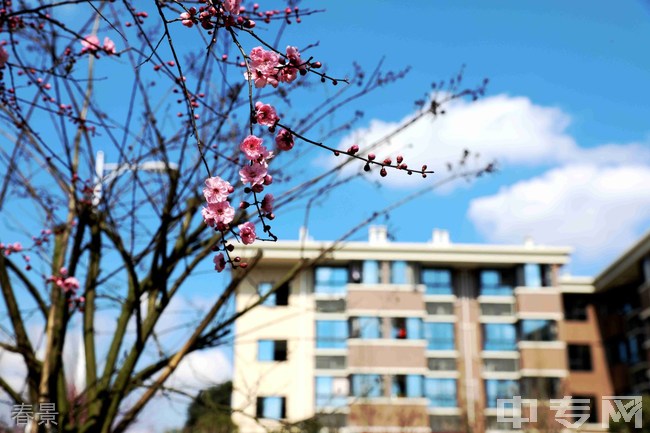 眉山药科职业学院[专科]-春景