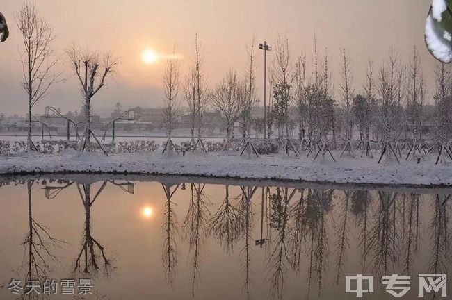 川南幼儿师范高等专科学校[专科]-冬天的雪景