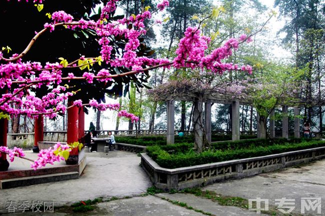 黔南民族医学高等专科学校[专科]-春季校园