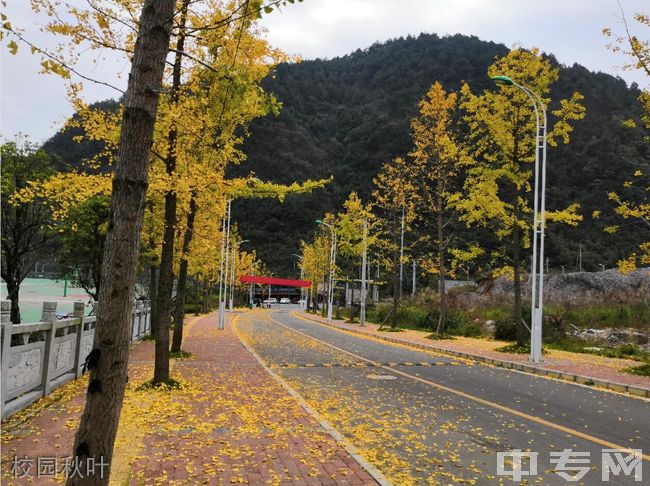 黔南民族医学高等专科学校[专科]-校园秋叶