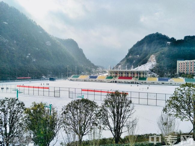 黔南民族医学高等专科学校[专科]-校园雪景