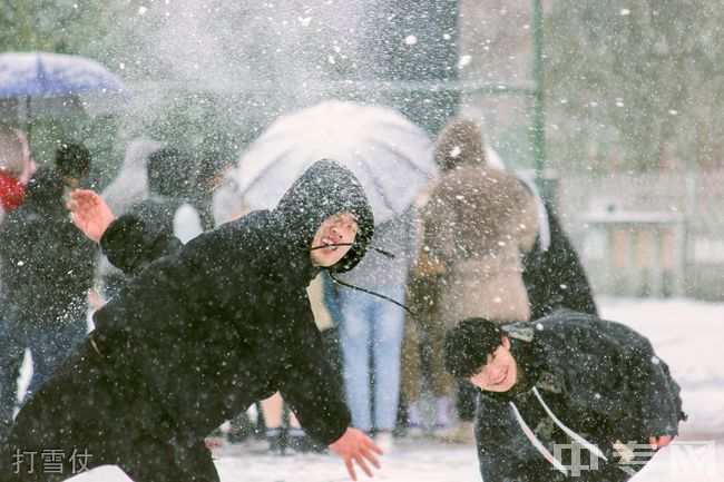 遵义职业技术学院[专科]-打雪仗