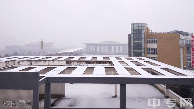 遵义职业技术学院[专科]-校园雪景