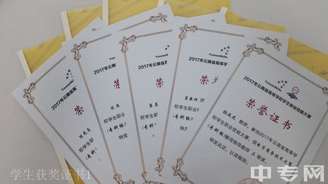 云南旅游职业学院学生获奖证书1