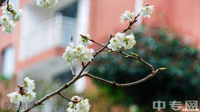 贵州工商职业学院[专科]-春光明媚