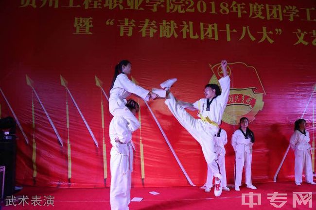 贵州工程职业学院[专科]-武术表演