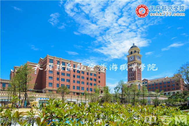 天府新区航空旅游职业学院[专科]-学校环境4