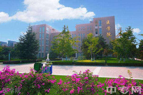 咸阳职业技术学院[专科]-医学院