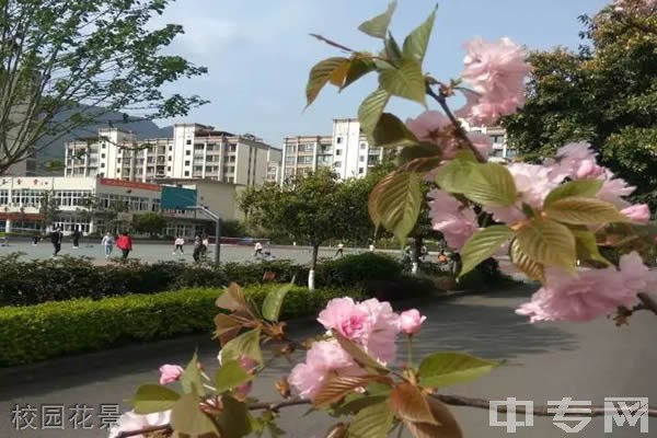 重庆市矿业工程学校-校园花景