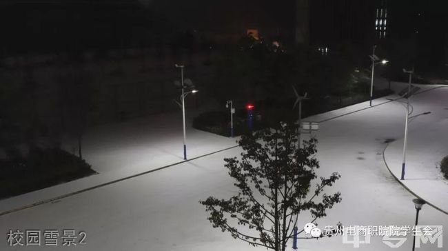 贵州电子商务职业技术学院[专科]-校园雪景2