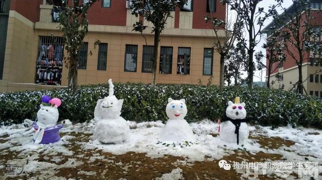 贵州电子商务职业技术学院[专科]-雪人