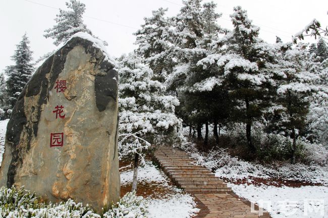 云南工贸职业技术学院[专科]-学院雪景1