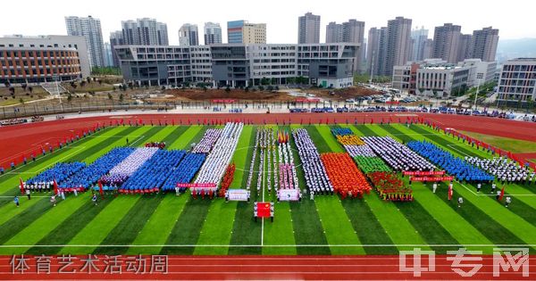 安康职业技术学院[专科]-体育艺术活动周