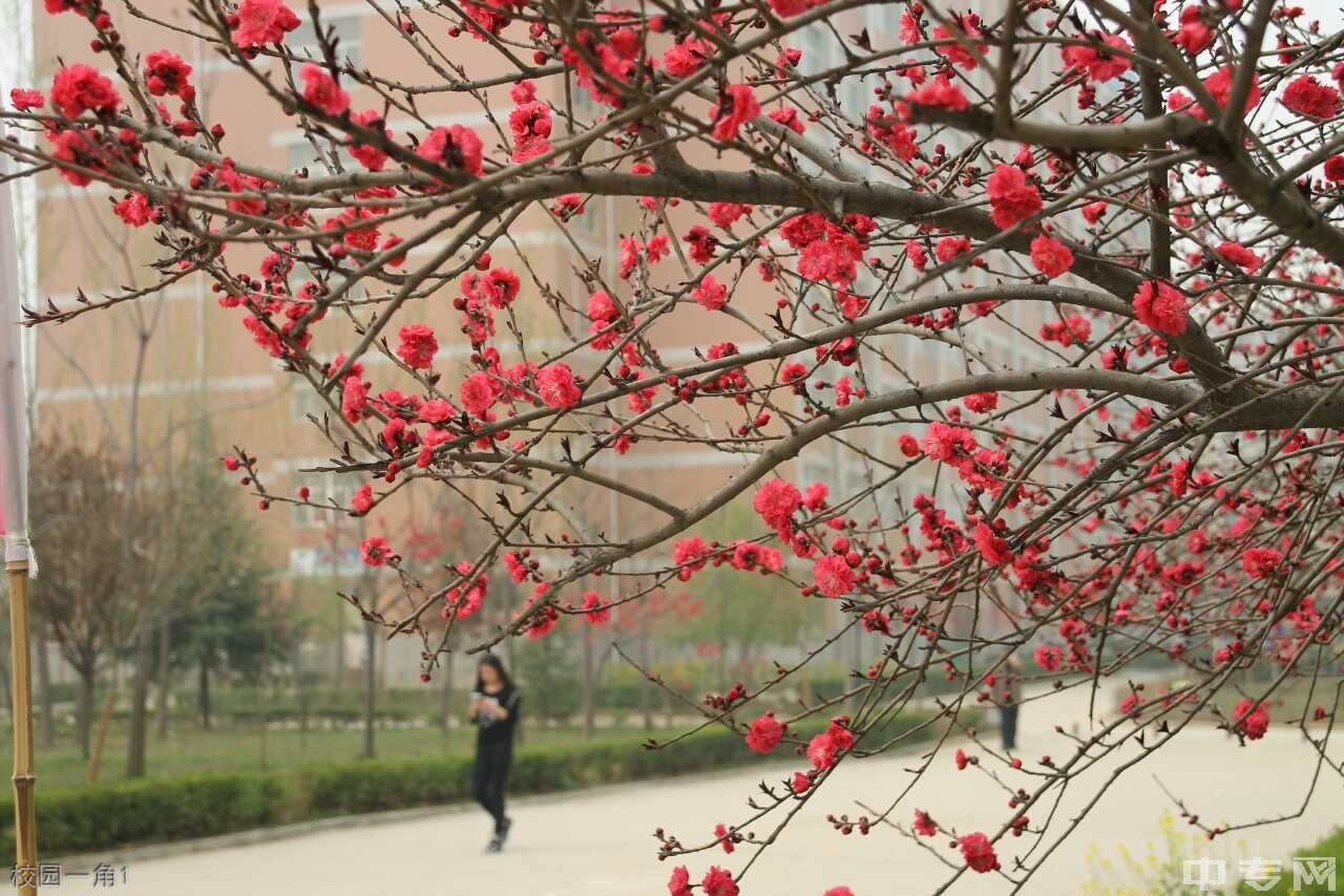 西安医学高等专科学校[专科]-校园一角1