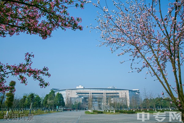 ☆西南交通大学远程与继续教育学院-校园风景