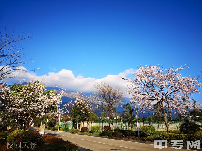 大理农林职业技术学院[专科]-校园风景