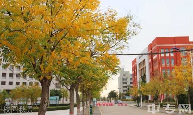 榆林职业技术学院[专科]-校园秋景