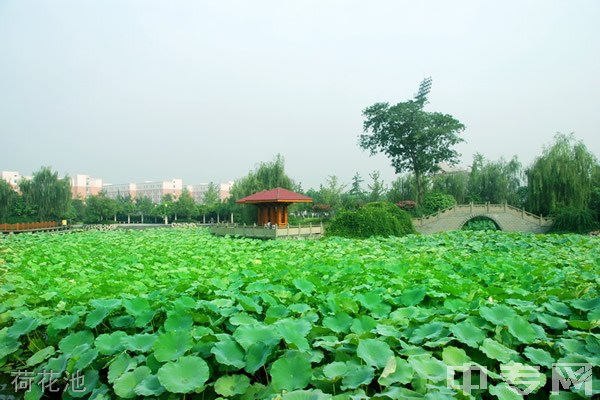 ☆成都信息工程大学继续教育学院-荷花池