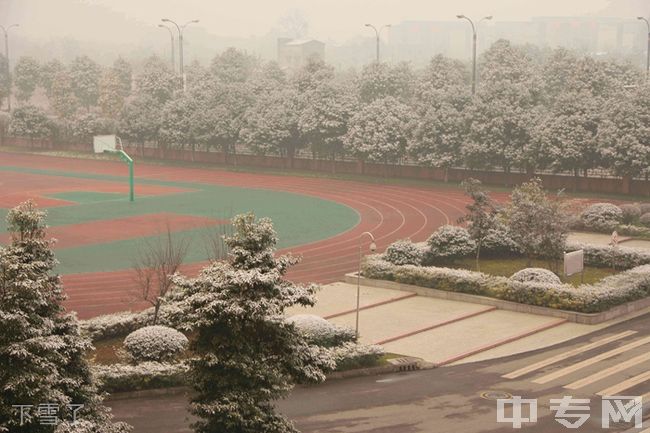 成都七中实验学校[普高]-下雪了