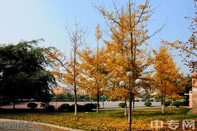 成都七中实验学校[普高]-校园秋色