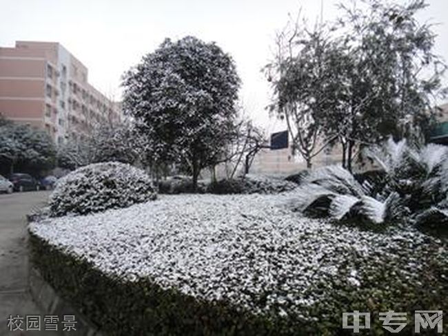 成都七中实验学校[普高]-校园雪景