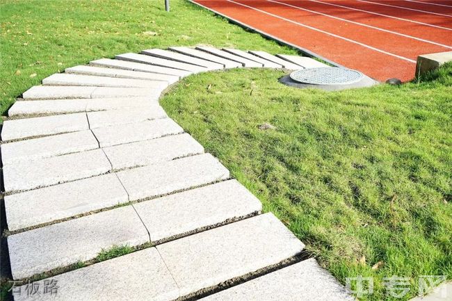 成都城投菁芙蓉驿都学校[普高]-石板路