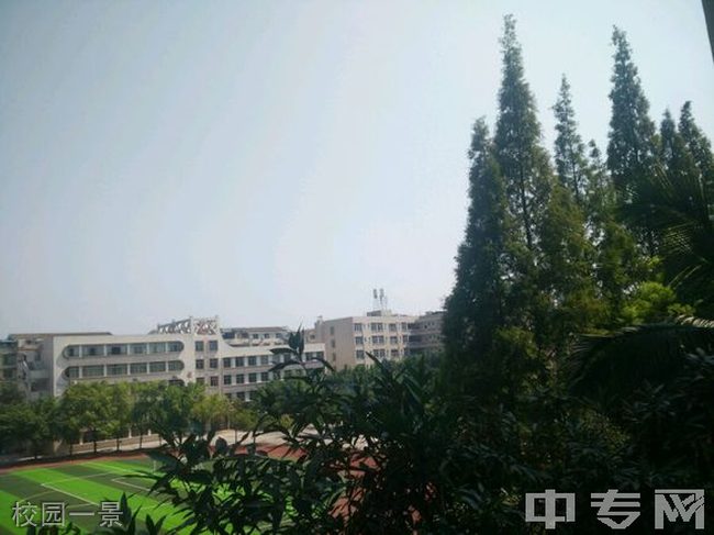 泸化中学校园一景